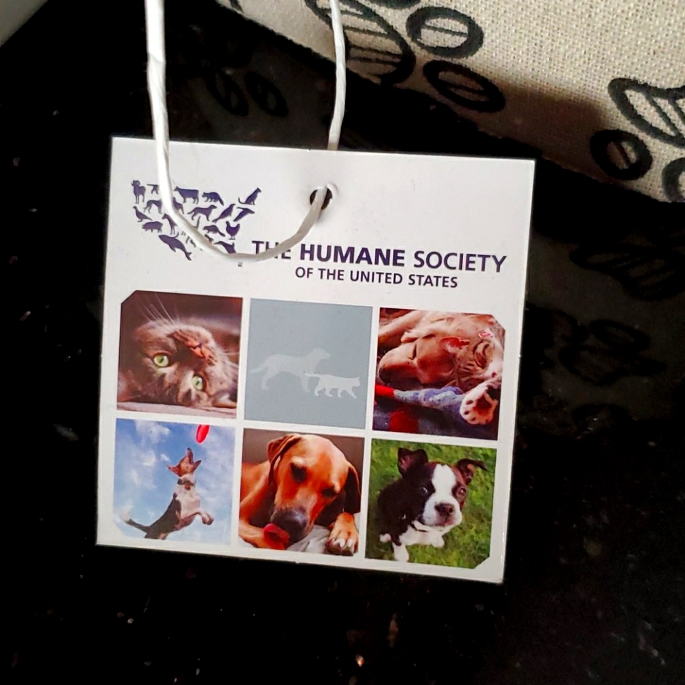 Ceramic dog bowls and basket